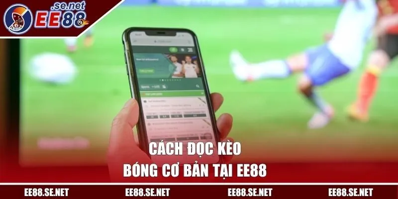 Cách đọc kèo bóng cơ bản tại EE88