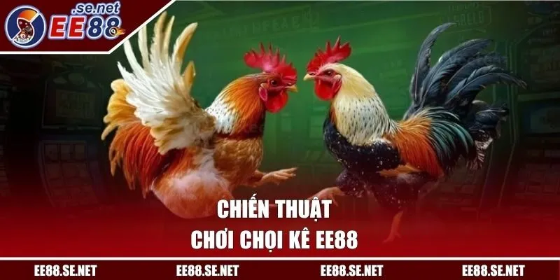 Chiến thuật chơi chọi kê EE88