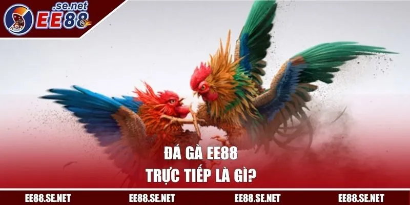 Đá gà EE88 trực tiếp là gì?