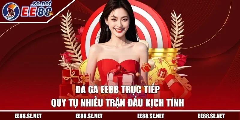 Đá Gà EE88 Trực Tiếp | Quy Tụ Nhiều Trận Đấu Kịch Tính