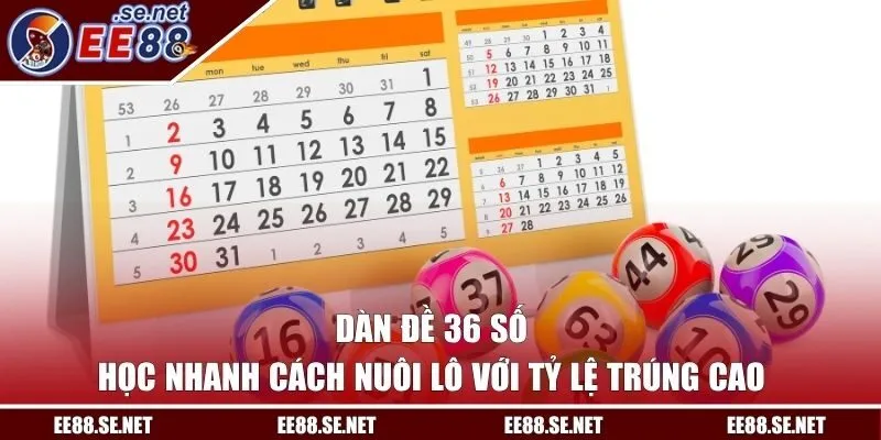 Dàn Đề 36 Số - Học Nhanh Cách Nuôi Lô Với Tỷ Lệ Trúng Cao
