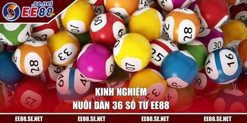 Kinh nghiệm nuôi dàn 36 số từ EE88