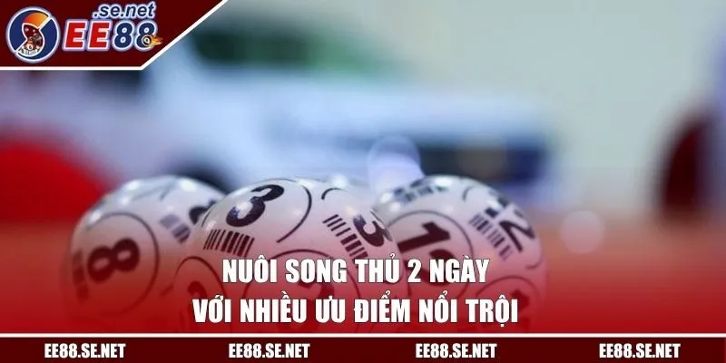 Nuôi song thủ 2 ngày với nhiều ưu điểm nổi trội