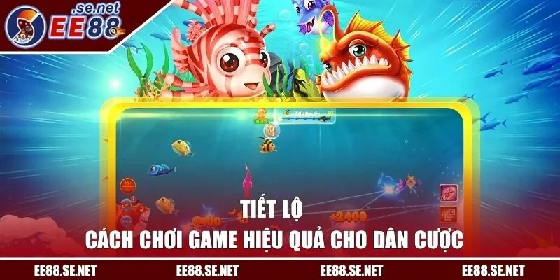 Tiết lộ cách chơi game hiệu quả cho dân cược