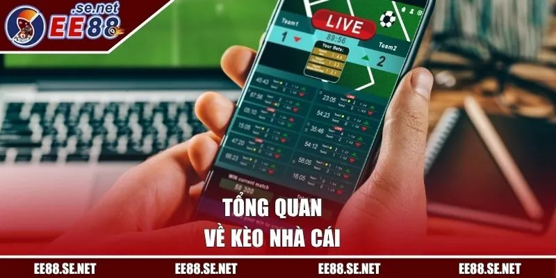 Tổng quan về kèo nhà cái
