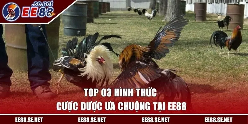 Top 03 hình thức cược được ưa chuộng tại EE88