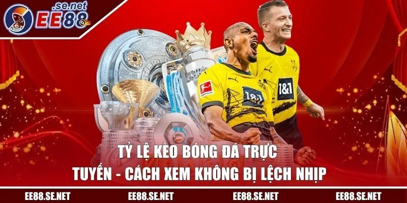 Tỷ Lệ Kèo Bóng Đá Trực Tuyến - Cách Xem Không Bị Lệch Nhịp